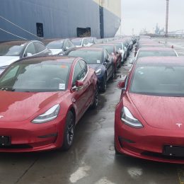 Tesla says China‘s Model 3 delays resulted from misprinted labels